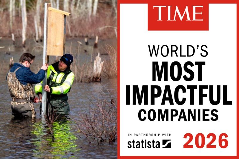 Time Cover
